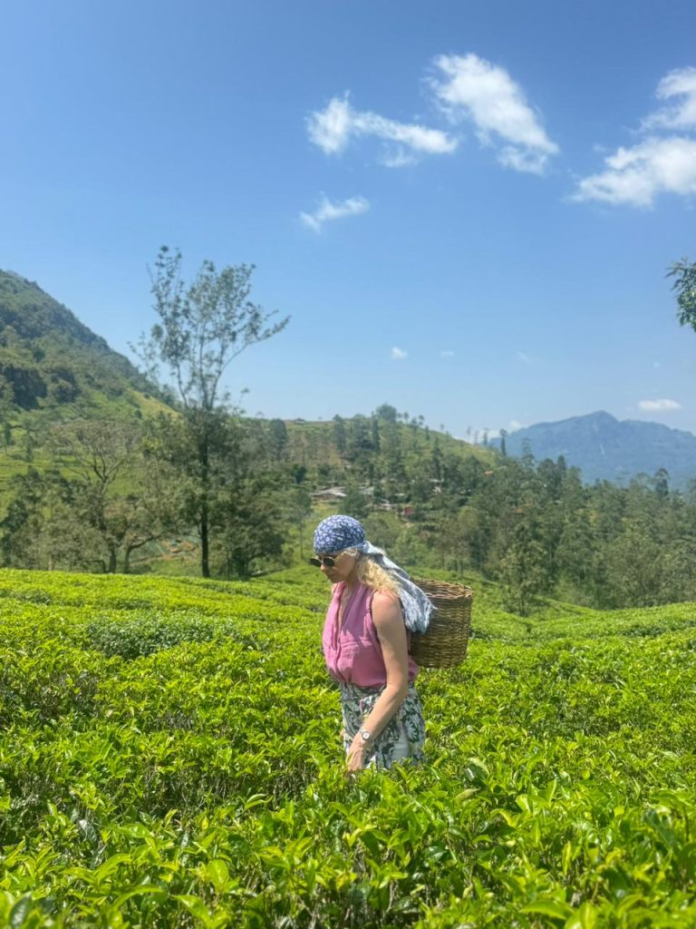 WhatsApp Image 2026-03-04 at 16.56.03